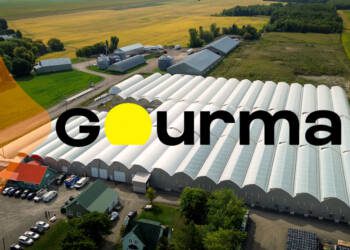 Healthy growth and good HR practices: the Gourma recipe with Flexia